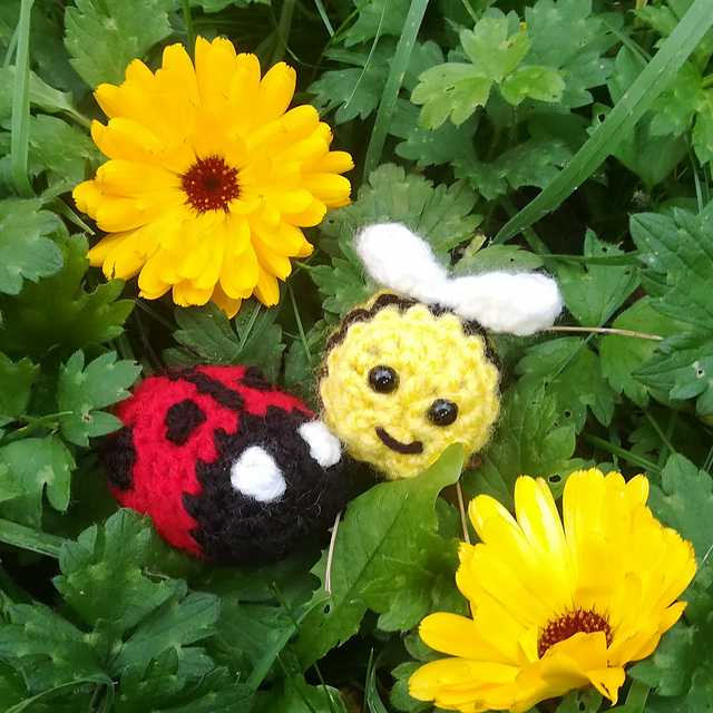 Quick and Cute Bumble Bee & Ladybird