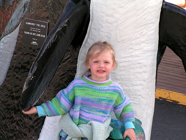 Seed Stitch Stripes Sweater
