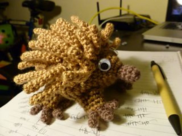 Echidna