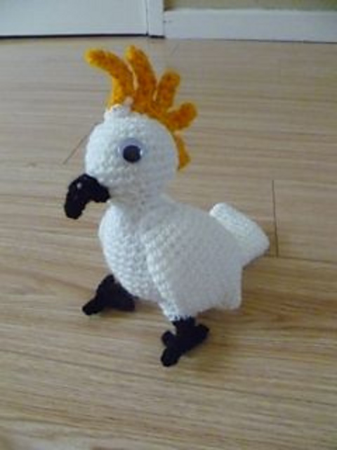 Sulphur-crested cockatoo