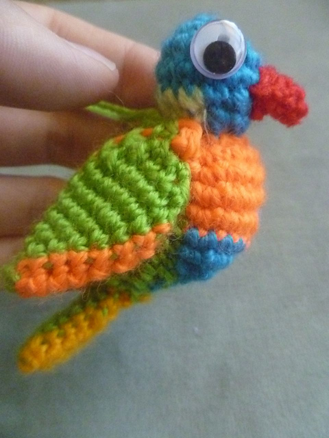 Rainbow lorikeet