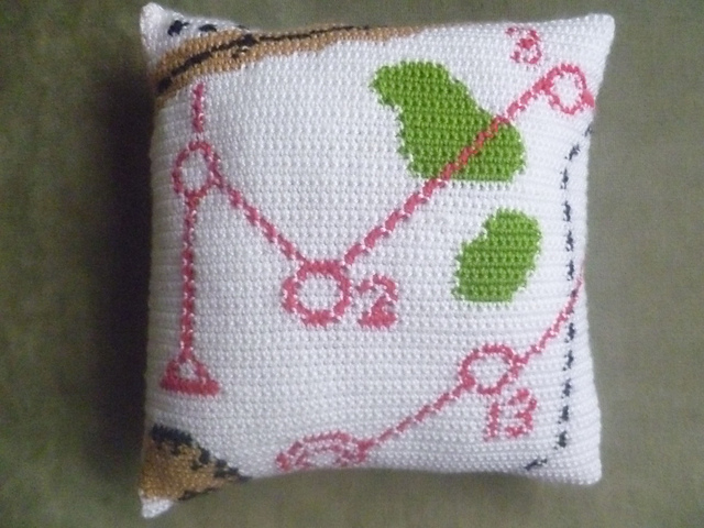 orienteering cushion