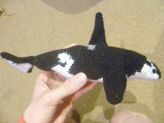 Orca