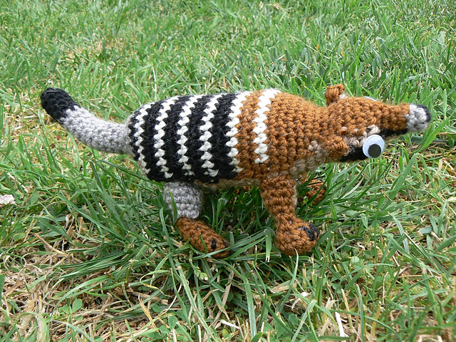 numbat