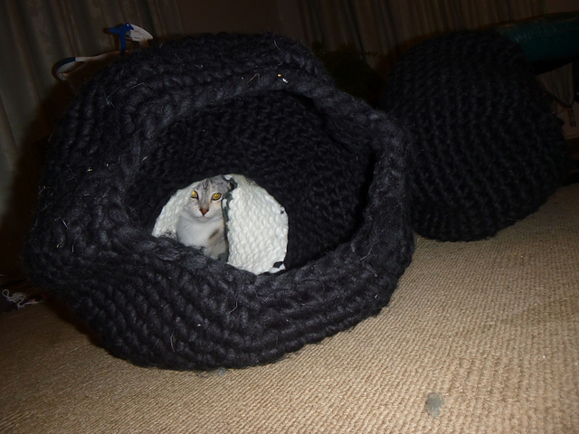 Water molecule cat cave