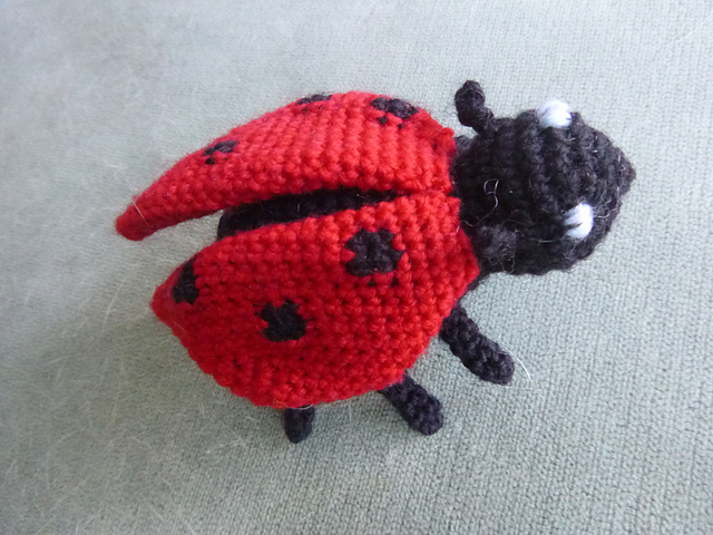 Lydia the ladybird