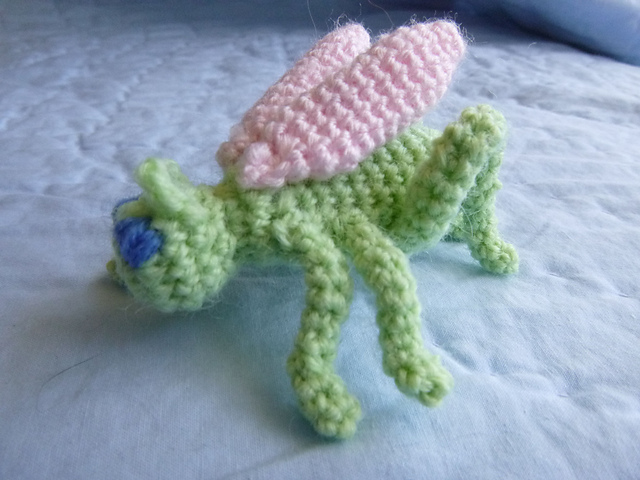 Graham the grasshopper