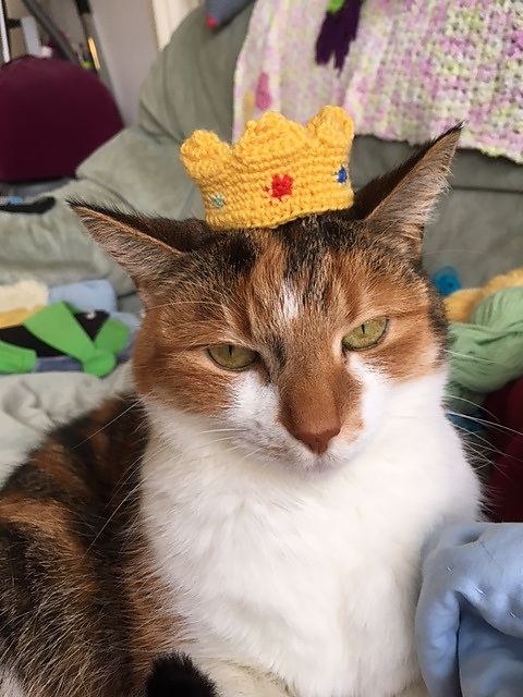 Kitty crown