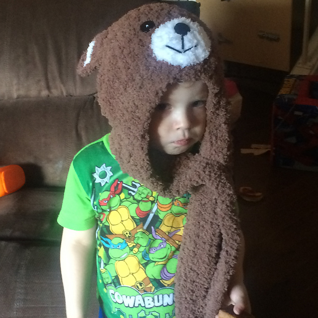 Teddy bear hoodie