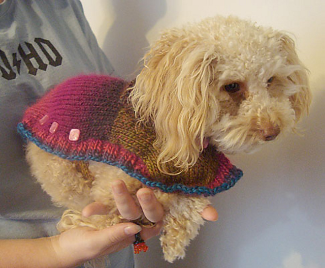 Walking Jacket
