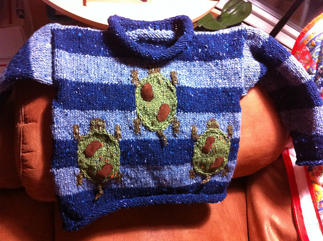 Turtle Pullover