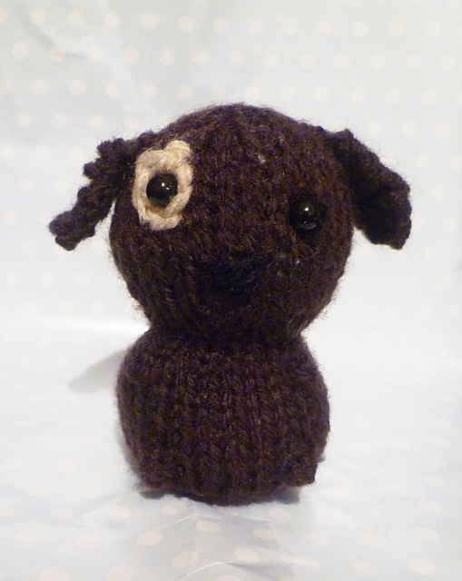 Mr. Pup