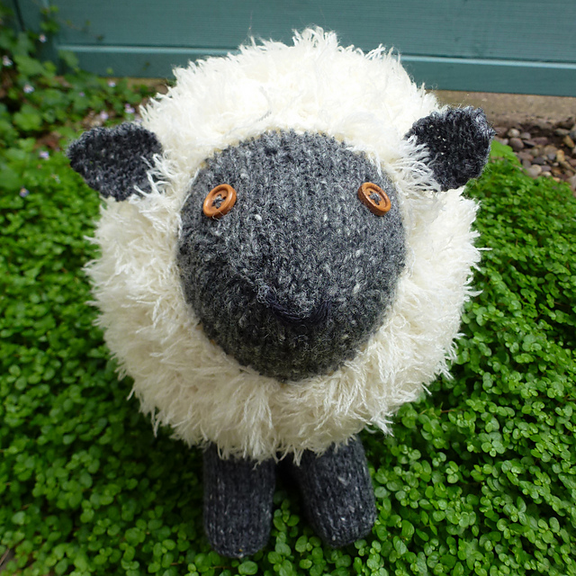 Shuggie Sheep