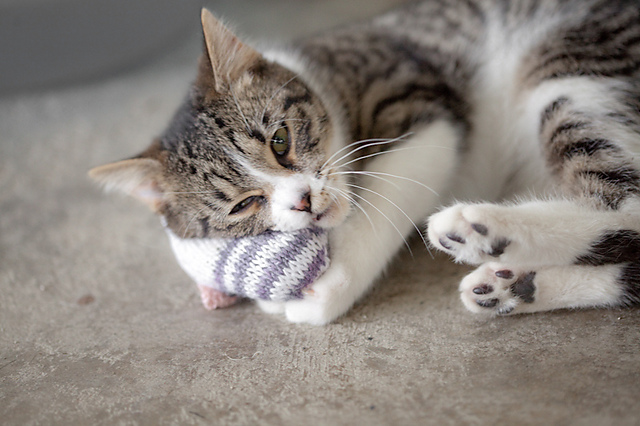 Ravelry: Jenbear-'s Pawsitive Mouse