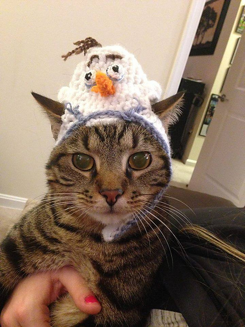 Olaf Kitty Hat