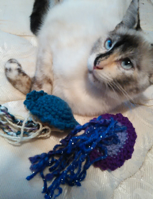 Jellyfish cat toy