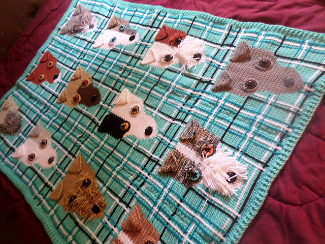 Fox Terrier Afghan CAL