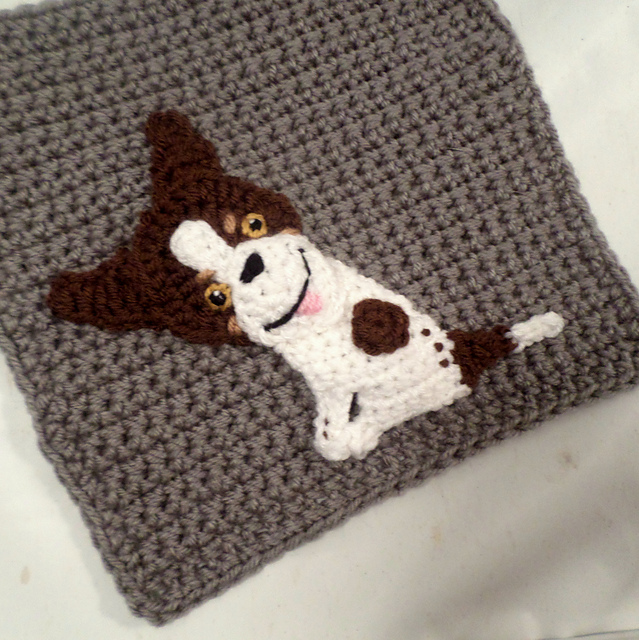 Rat Terrier Patch