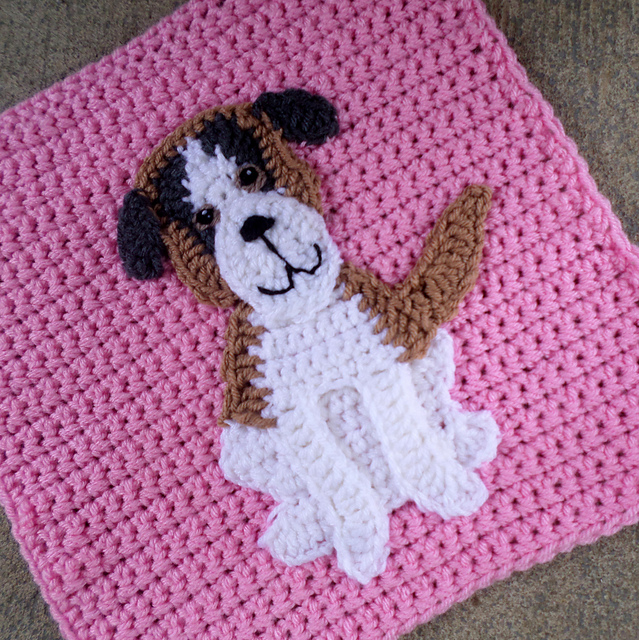 Saint Bernard Patch