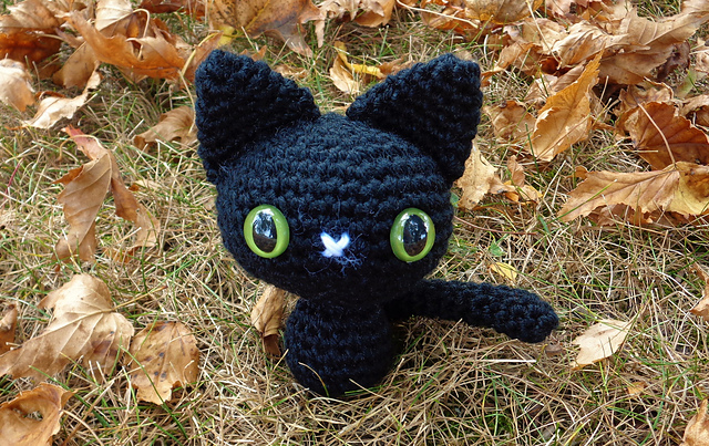 Little Black Cat
