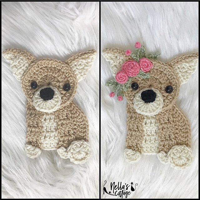The Chihuahua
