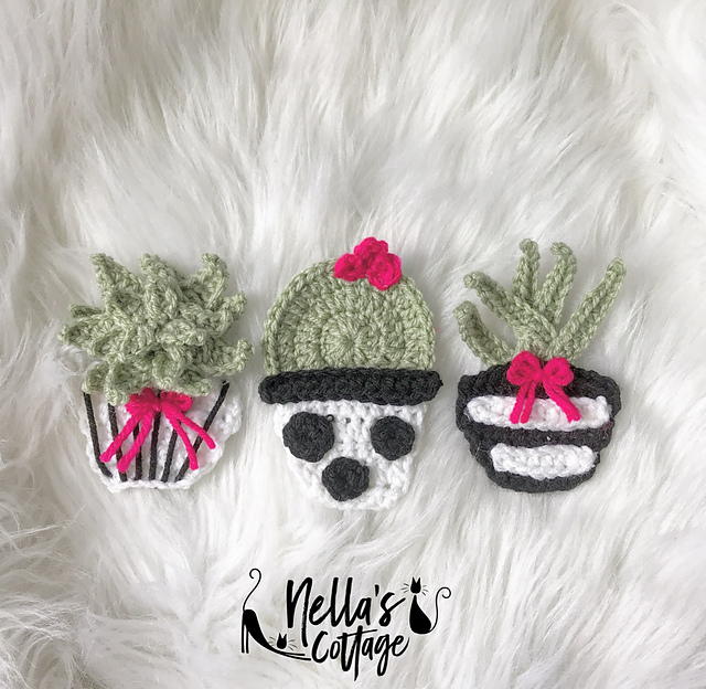 The Succulents