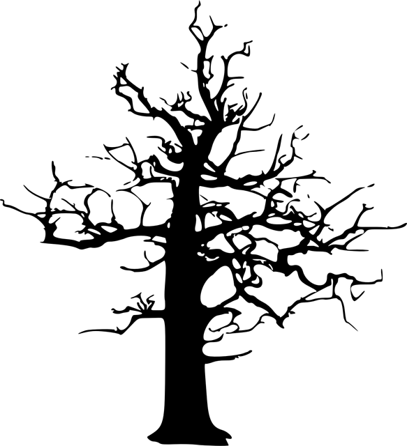 Andre's Tree