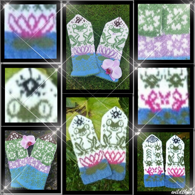 Life by the pond