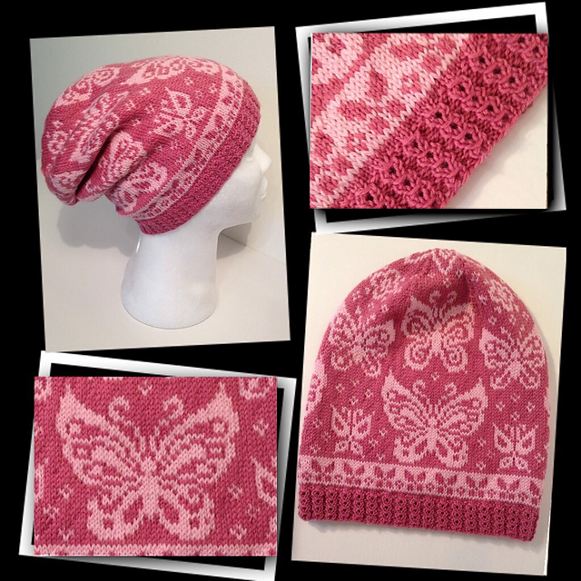 Papilio hat