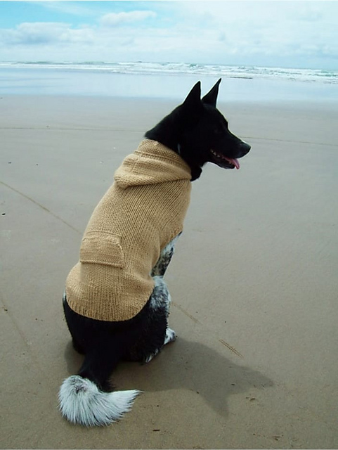 Dog Sweater Hoodie (and cats too)
