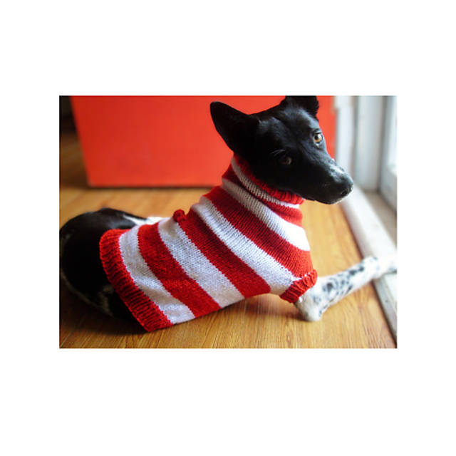 Dog Sweater Waldo (and cats too!)