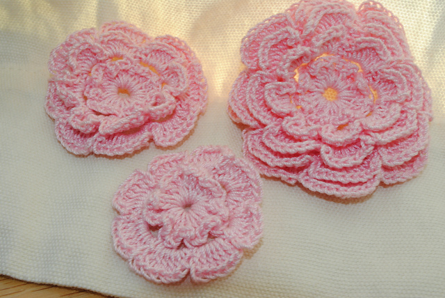 3 Roses in One