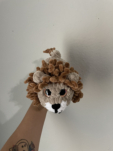 No Sew Lion Pet
