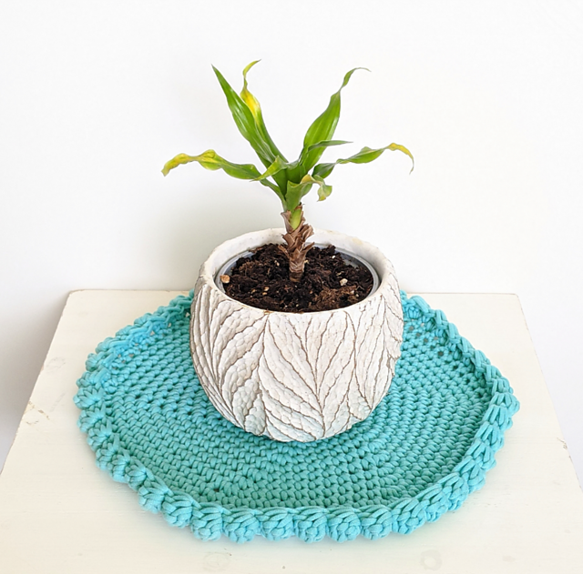 Plant Nest Coaster