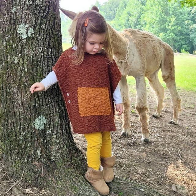 Gericho Poncho