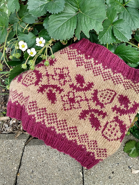 Summer Strawberries Cowl