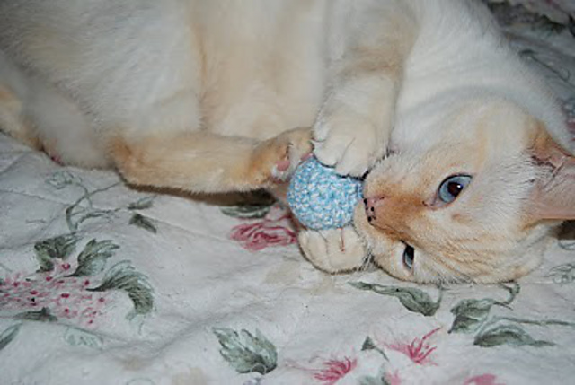 Snuggles Play Ball