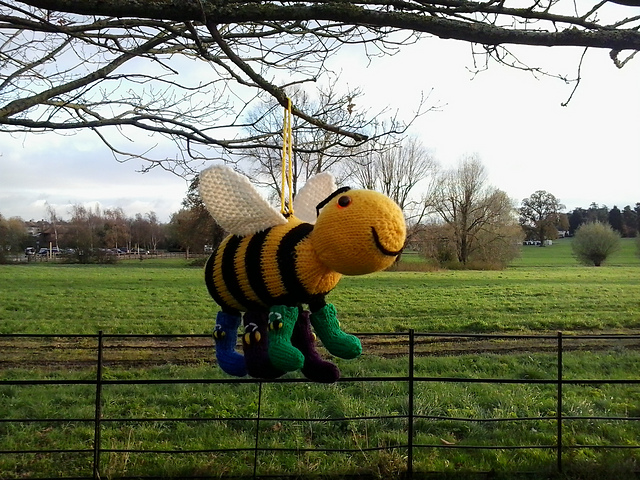 Bee with socks with bees on