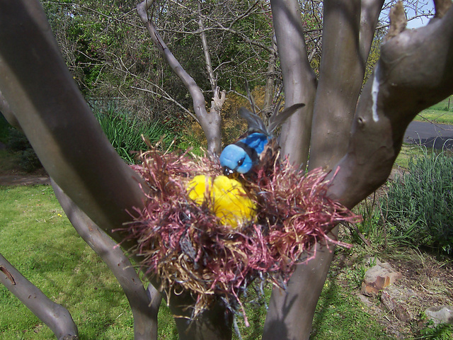 My Knitted bird nest