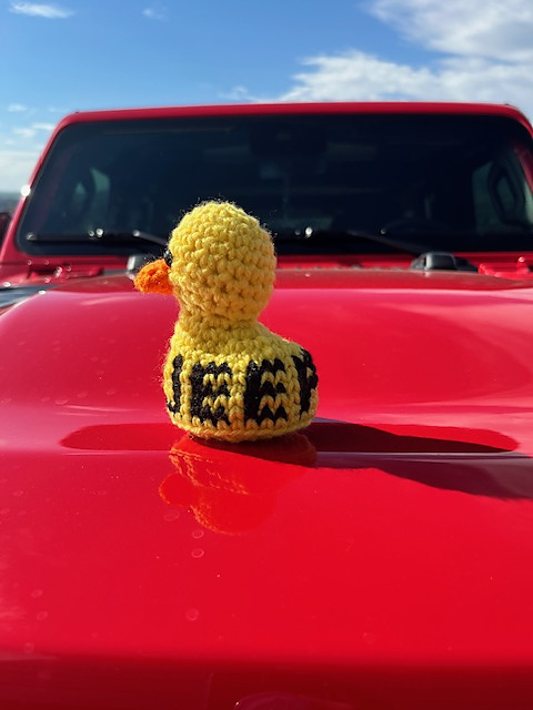 ATV Ducky