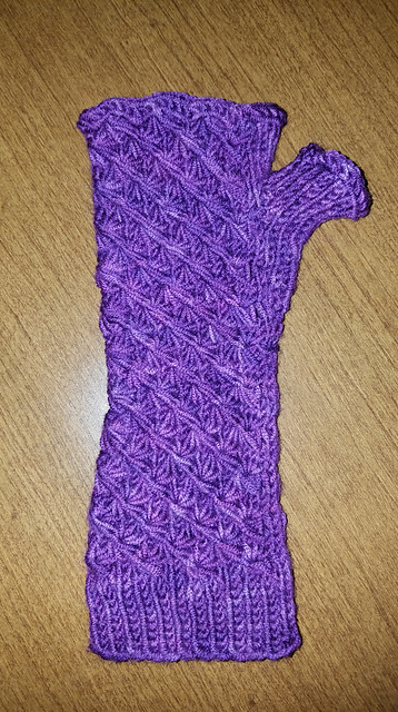 Daisy Fingerless Mitts
