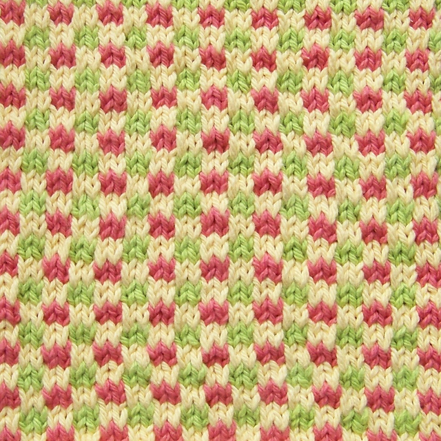 Kitchen Dishcloth ~ P & C