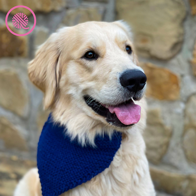 Pet Bandana