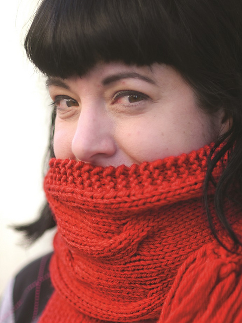 Companion Scarf