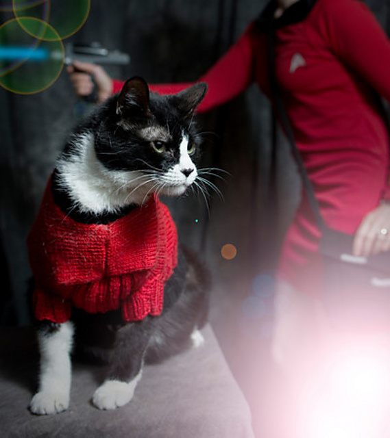 Where No Dog (or Cat) Has Gone Before