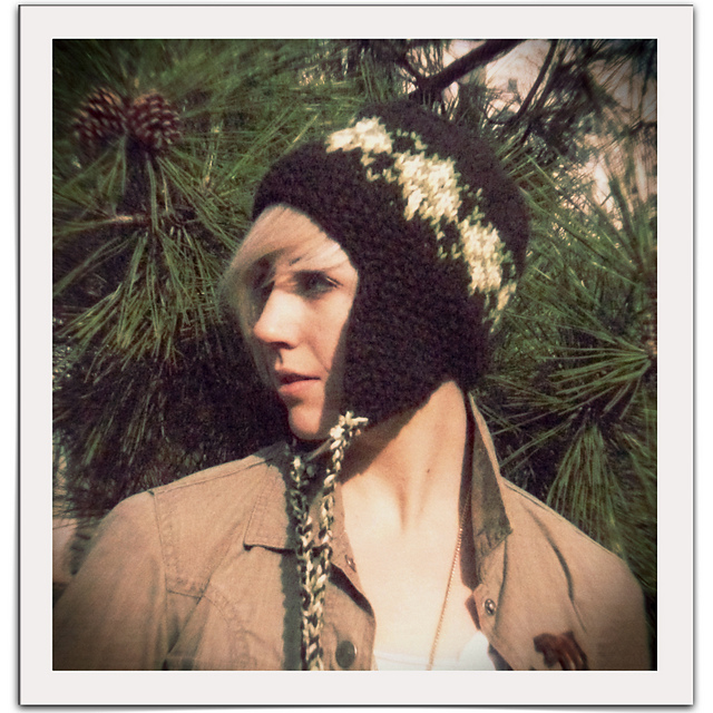 Ski Lodge Hat