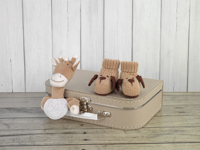 Puppy Booties