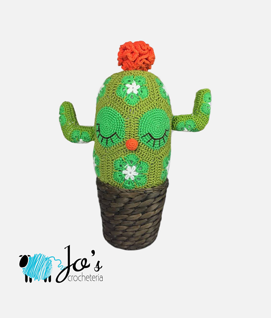 Chiara the African Flower Cactus