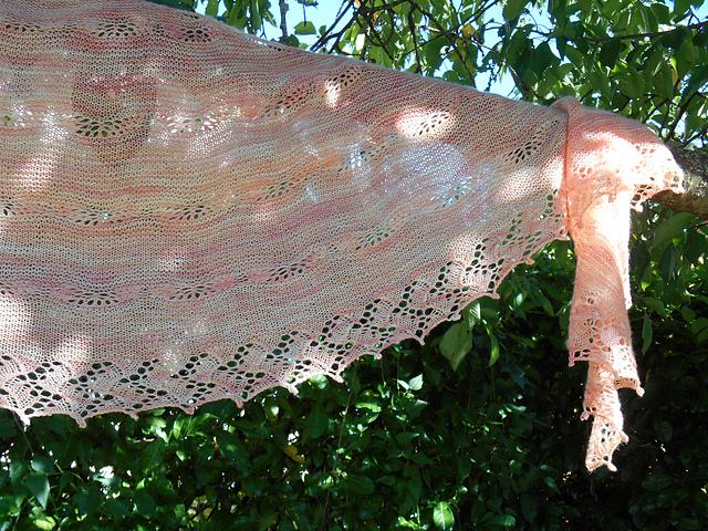 Fleur de Corail