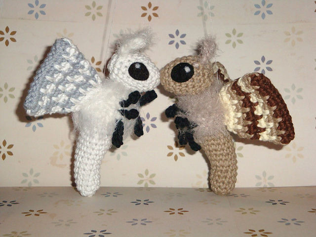 Moth